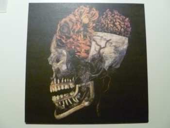 LP Kingdom: Hemeltraan