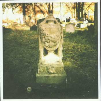 CD Kitchens Of Distinction: Folly