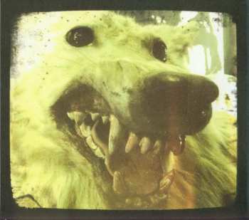 CD Kitchens Of Distinction: Folly