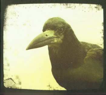 CD Kitchens Of Distinction: Folly