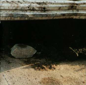 CD Daniel Landa: Konec