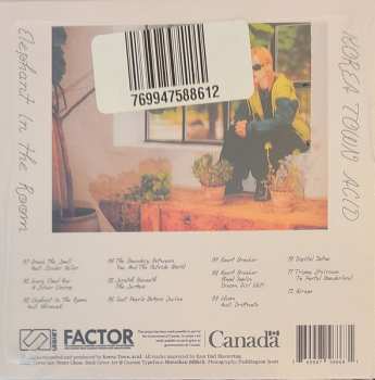 CD Korea Town Acid: Elephant In The Room