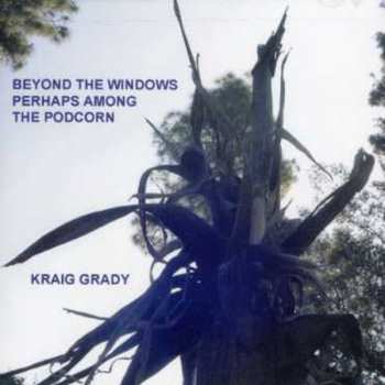 Album Kraig Grady: Beyond The Windows Perhaps Among The Podcorn