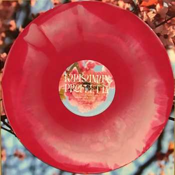 2LP Kuusumun Profeetta: Jatkuvasti Maailmaa Pelastamaan Kyllästynyt Supersankari CLR | LTD