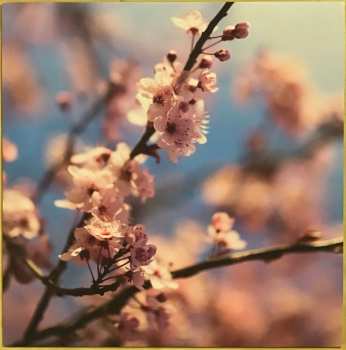 2LP Kuusumun Profeetta: Jatkuvasti Maailmaa Pelastamaan Kyllästynyt Supersankari CLR | LTD