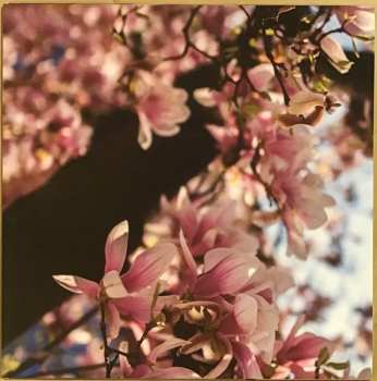 2LP Kuusumun Profeetta: Jatkuvasti Maailmaa Pelastamaan Kyllästynyt Supersankari CLR | LTD