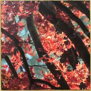 2LP Kuusumun Profeetta: Jatkuvasti Maailmaa Pelastamaan Kyllästynyt Supersankari CLR | LTD