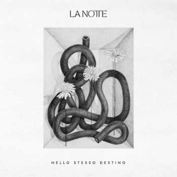 Album La Notte: Nello Stesso Destino