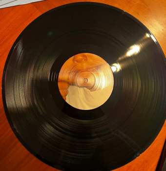 LP La Paloma: Todavía no