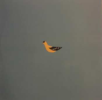 LP Lake: Let's Build A Roof