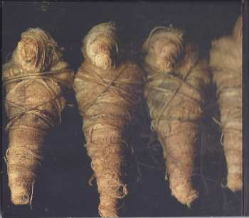 CD Lamb Of God: VII: Sturm Und Drang LTD | DIGI