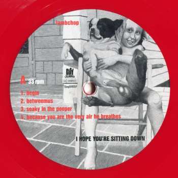 2LP Lambchop: I Hope You're Sitting Down LTD