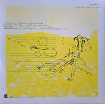 2LP Lambchop: What Another Man Spills