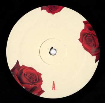 LP Lana Del Rey: Born To Die