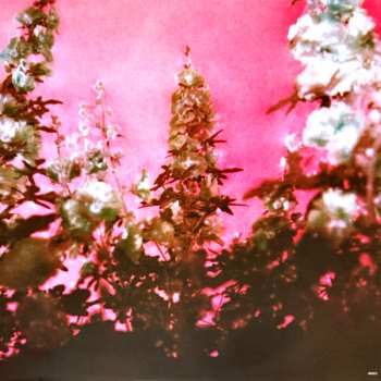 2LP Lana Del Rey: Did You Know That There's A Tunnel Under Ocean Blvd