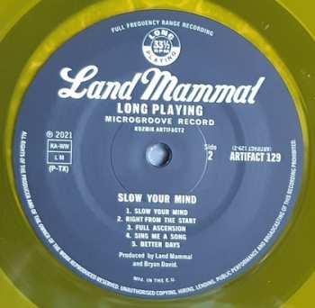 LP Land Mammal: Slow Your Mind CLR