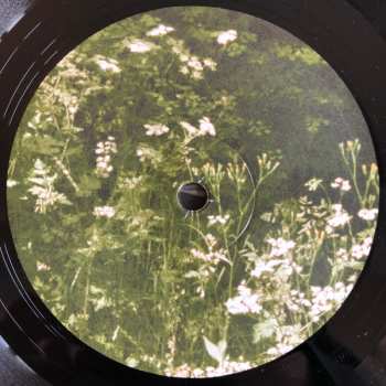 LP Late Runner: Nothing's Real Anymore