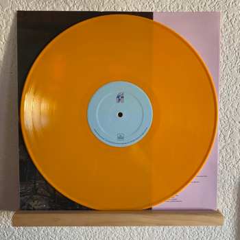 LP Laura Stevenson: Laura Stevenson LTD | CLR