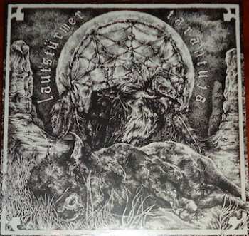 Album Lautstürmer: Split LP