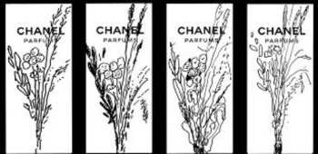 LP Lawrence: In A Rush