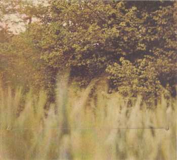 CD Layla Zoe: The Lily