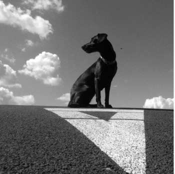 LP Le Payaco: Pohybliví V Nehybnom