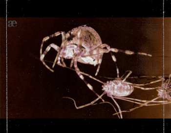 3CD/Zestaw pudełkowy Leæther Strip: After The Devastation LTD