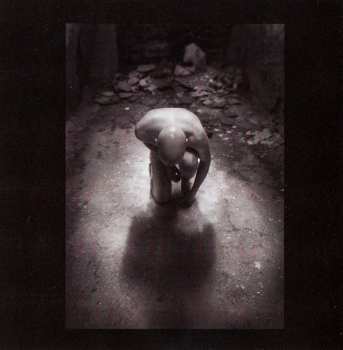 2CD/Zestaw pudełkowy Leæther Strip: Yes I'm Limited V LTD