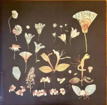 When The Quiet Comes