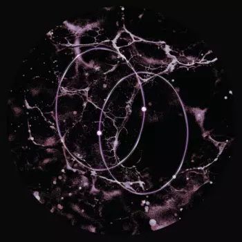 Len,leo: Echolocation