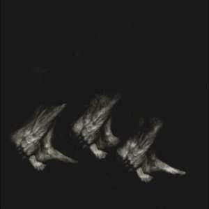 LP Leonov: Procession
