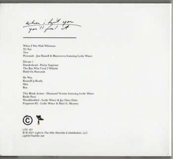 CD Leslie Winer: When I Hit You - You'll Feel It