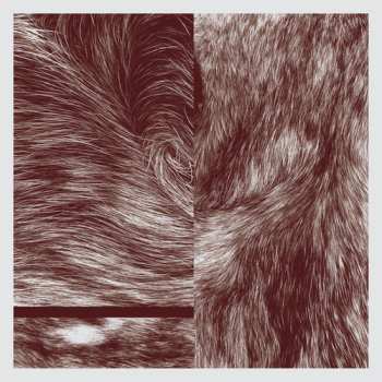 2SP Lettera 22: Legacy Map LTD