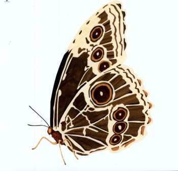 Album Lindstrøm & Prins Thomas: Nummer Fire EP