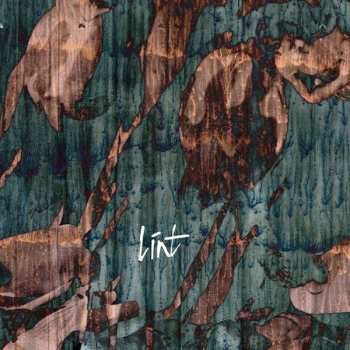 CD Línt: Then They Came For Us