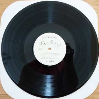 LP Lori McKenna: The Tree