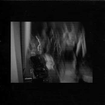 SP Los Dingos: Thirteen Cook Road LTD | NUM