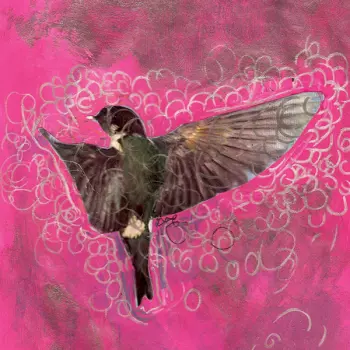 Girl. Echo. Suns. Veils.