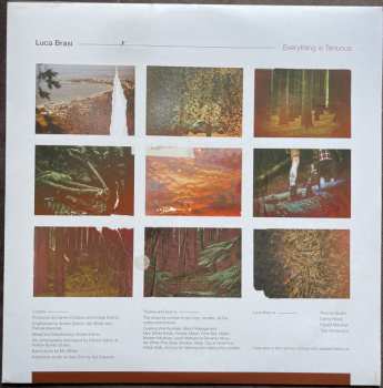 LP Luca Brasi: Everything Is Tenuous CLR | LTD