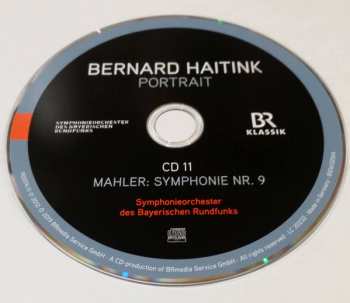 11CD/Zestaw pudełkowy Ludwig van Beethoven: Bernard Haitink Portrait