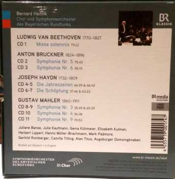 11CD/Zestaw pudełkowy Ludwig van Beethoven: Bernard Haitink Portrait