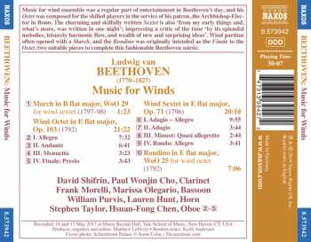 CD Ludwig van Beethoven: Music For Winds