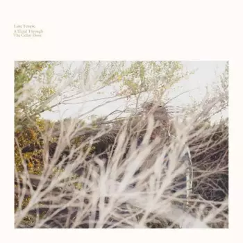 Luke Temple: A Hand Through The Cellar Door