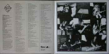 LP Lynyrd Skynyrd: Nuthin' Fancy