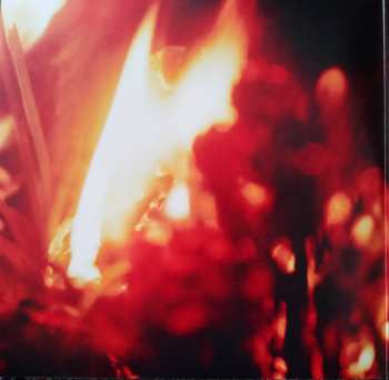 2LP Lyschko: Brennen LTD | CLR