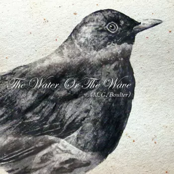 M. G. Boulter: The Water Or The Wave