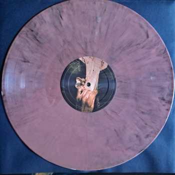 LP Machukha: Mochari LTD | CLR