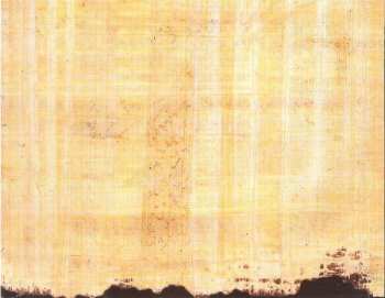 CD Mad Caddies: Rock The Plank