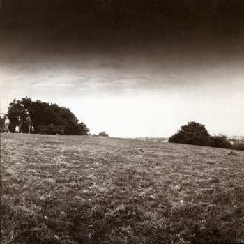 LP Madness: The Rise & Fall