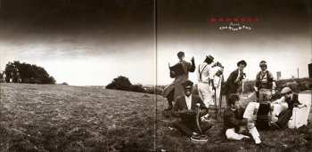 LP Madness: The Rise & Fall